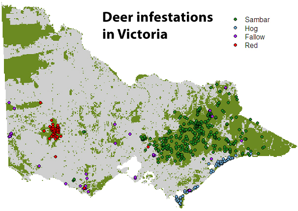 Map of deer infestations in Australia